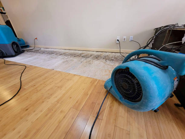 Professional Flood Damage Cleanup technician working in West Chesterfield, MA